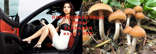 мескалин Аркадак
