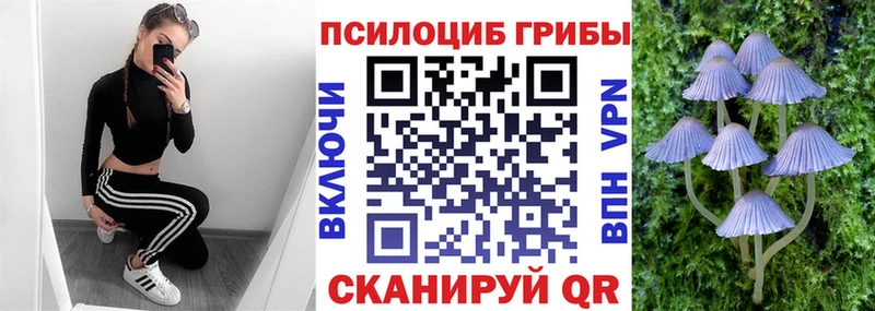 kraken зеркало  Бологое  Псилоцибиновые грибы Psilocybe 